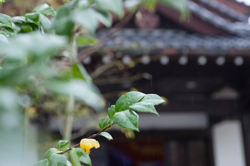 Kashoen Hanare Kai 京丹后市 外观 照片